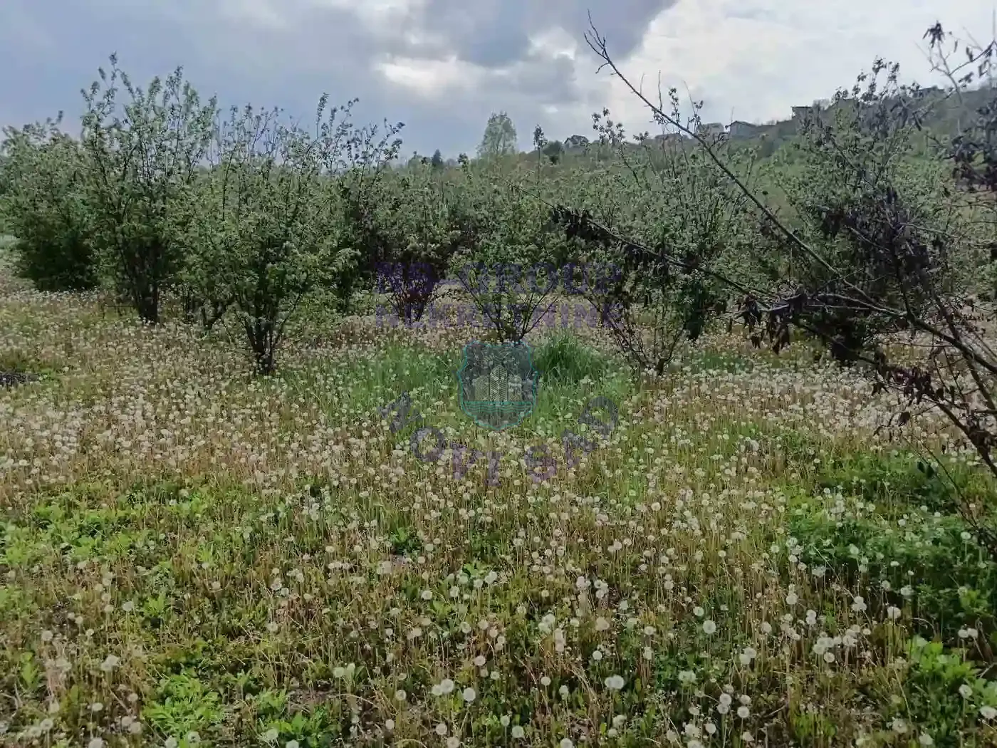 plac na prodaju Sremska Kamenica 1503m2 568166
