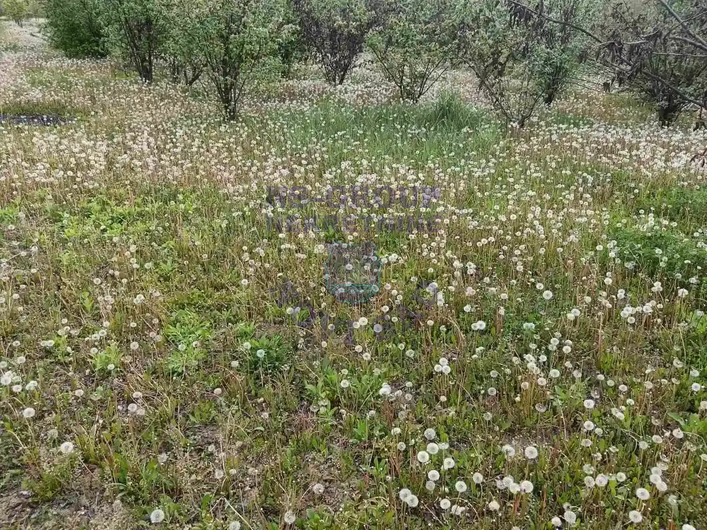 plac na prodaju Sremska Kamenica 1503m2 568166