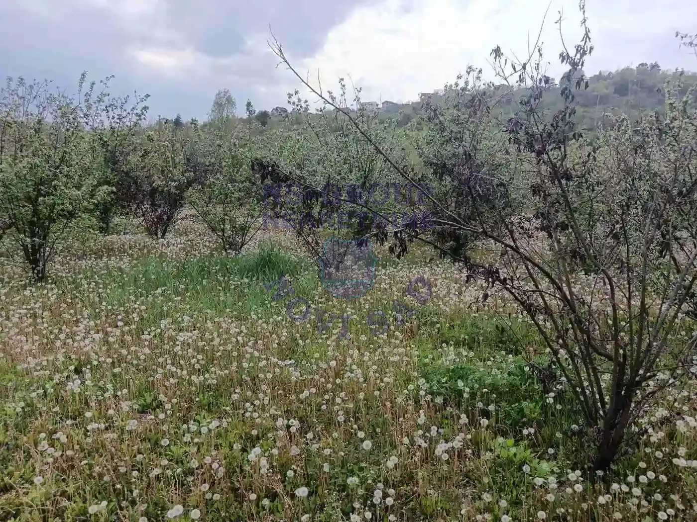 plac na prodaju Sremska Kamenica 2117m2 568169
