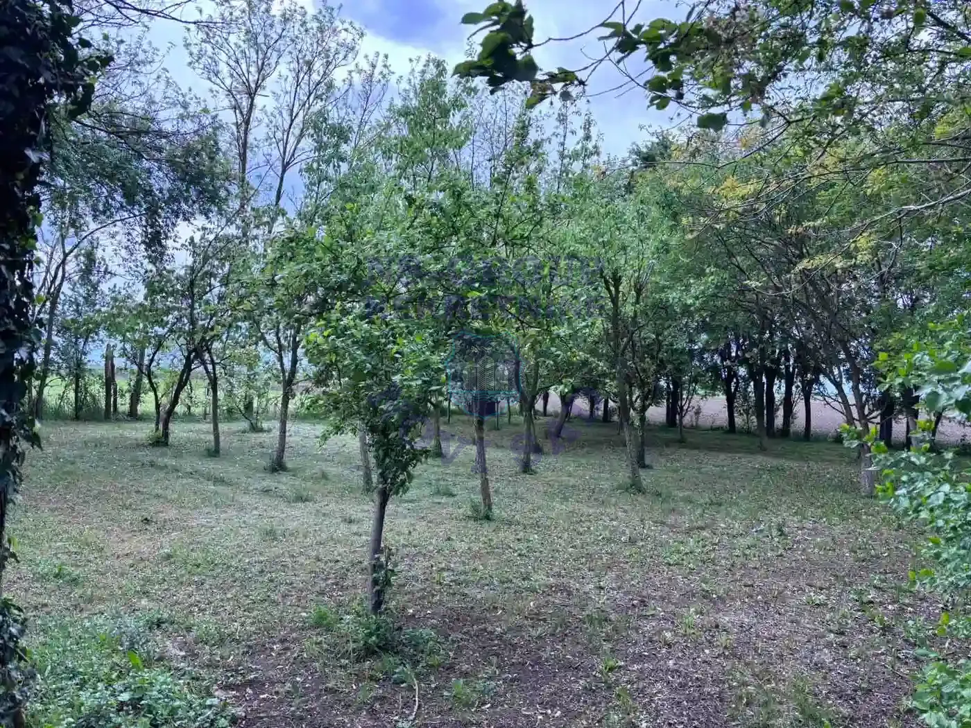 kuca na prodaju Bački Jarak 90m2 568609