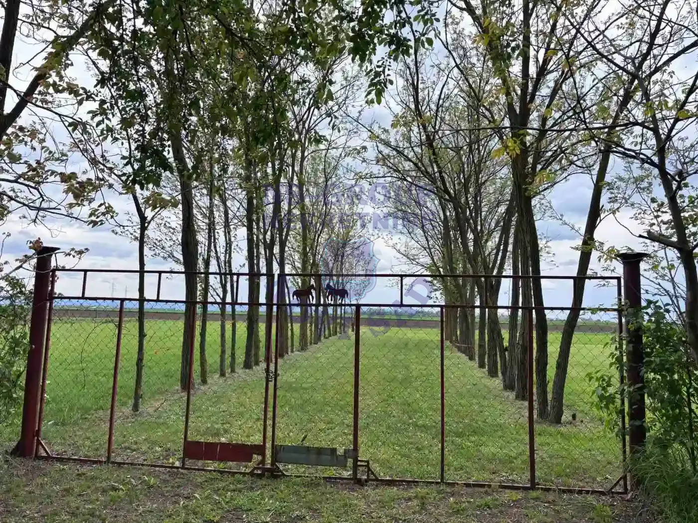 kuca na prodaju Bački Jarak 90m2 568609