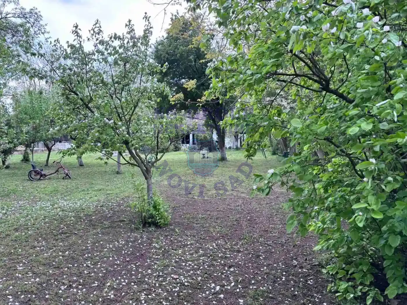kuca na prodaju Bački Jarak 90m2 568609