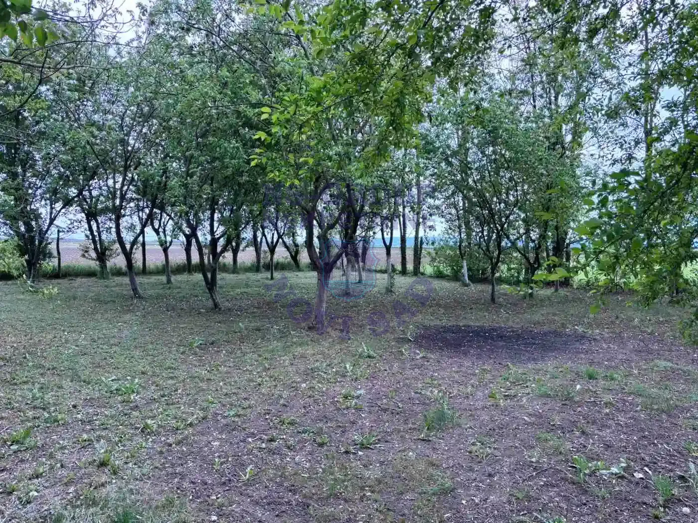 kuca na prodaju Bački Jarak 90m2 568609