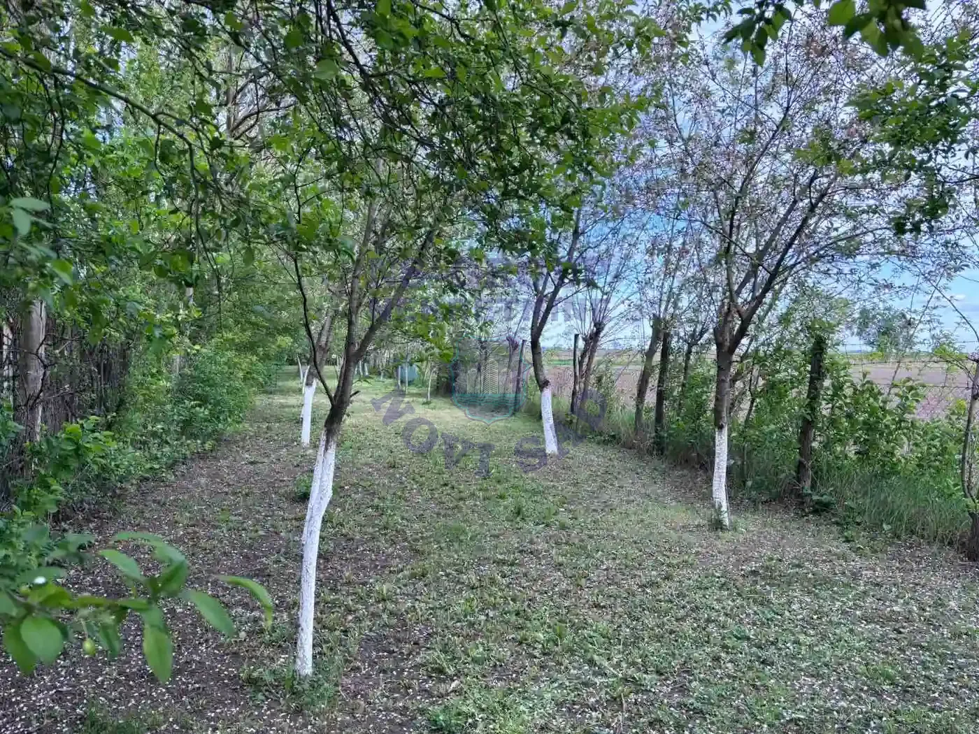 kuca na prodaju Bački Jarak 90m2 568609