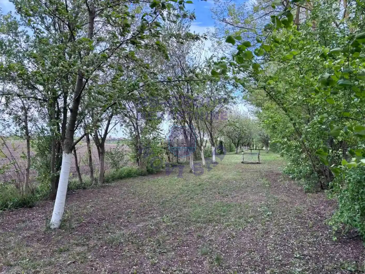kuca na prodaju Bački Jarak 90m2 568609