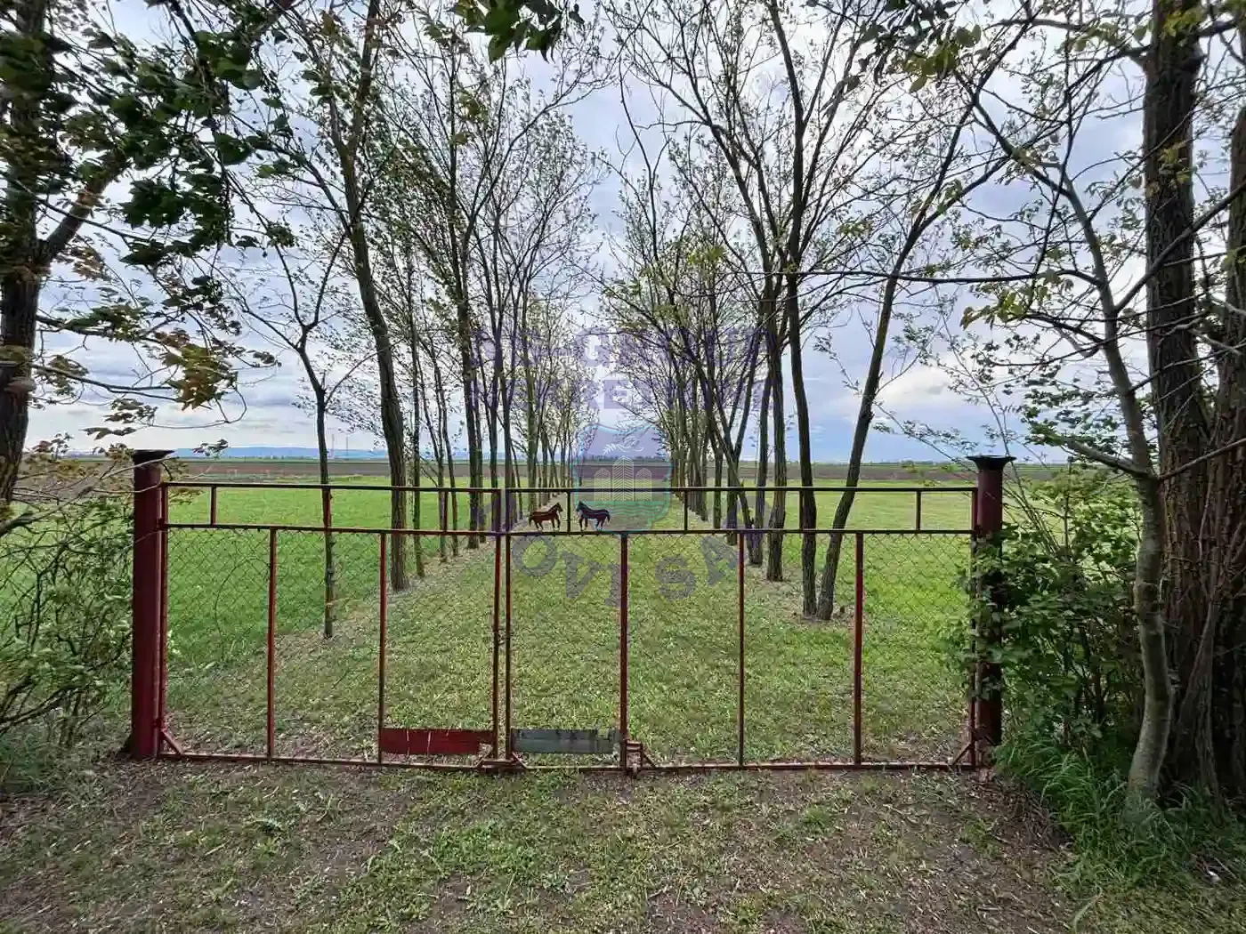 kuca na prodaju Bački Jarak 90m2 568609