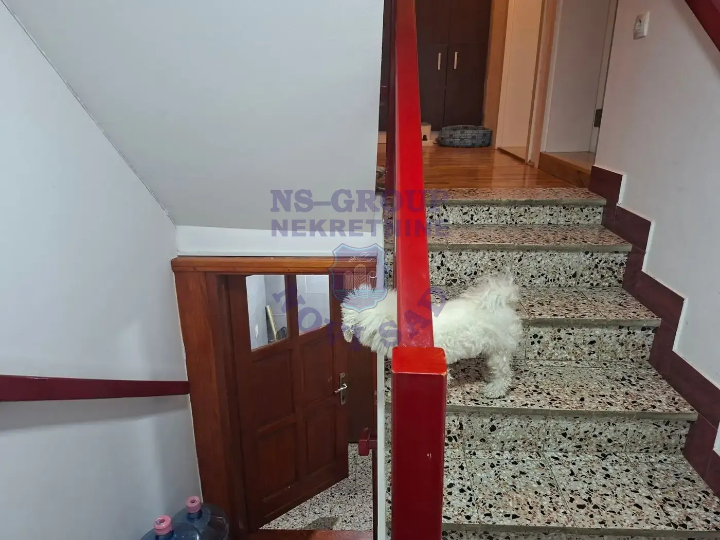 kuca na prodaju Novi Sad 338m2 569038