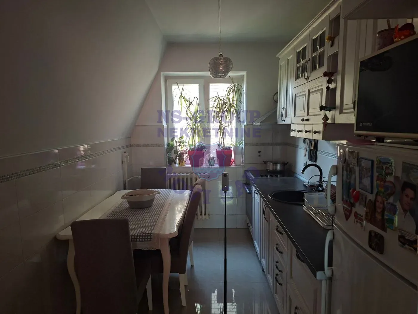 kuca na prodaju Novi Sad 338m2 569038
