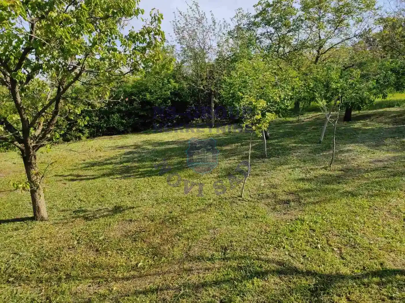 kuca na prodaju Čerević 39m2 569158