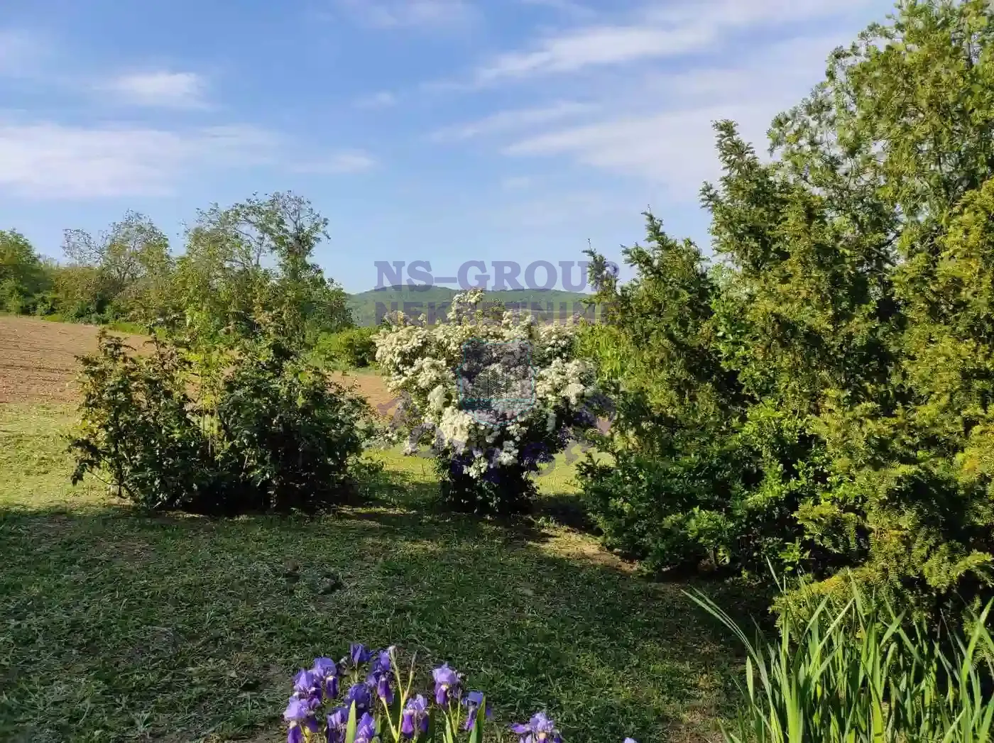 kuca na prodaju Čerević 39m2 569158