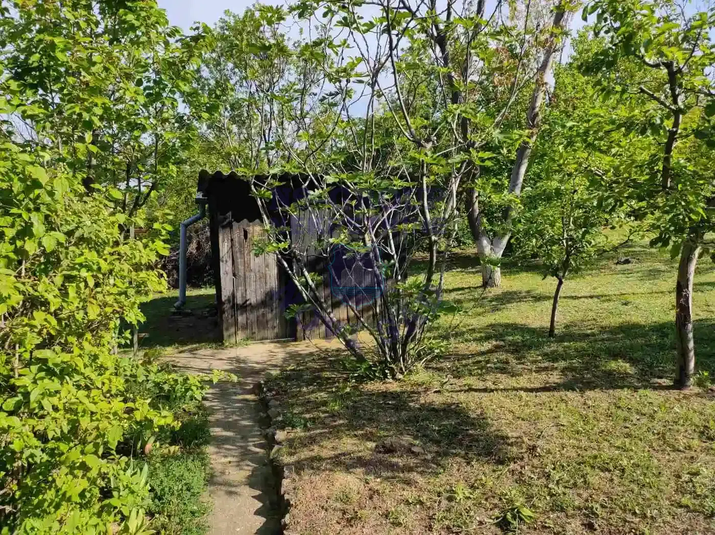 kuca na prodaju Čerević 39m2 569158