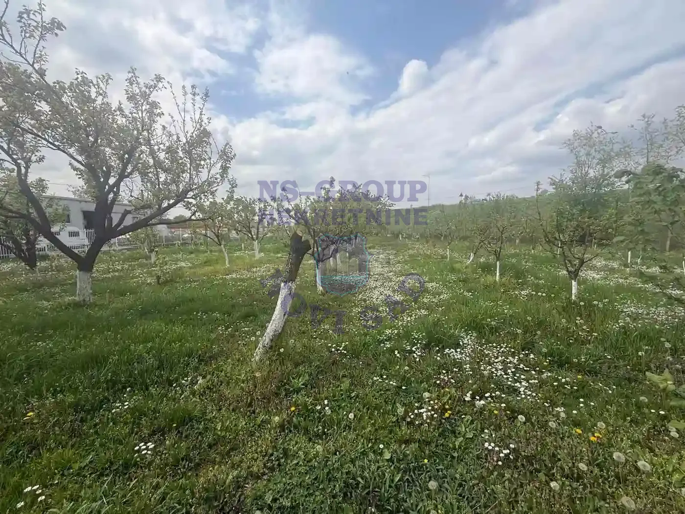 plac na prodaju Novi Sad 5194m2 569202