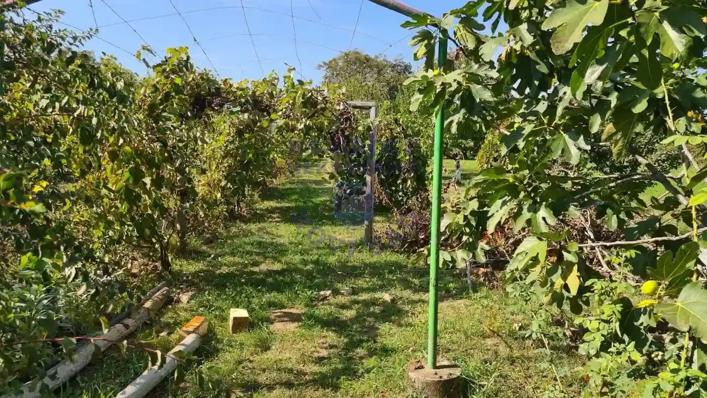 kuca na prodaju Čortanovci 61m2 569293