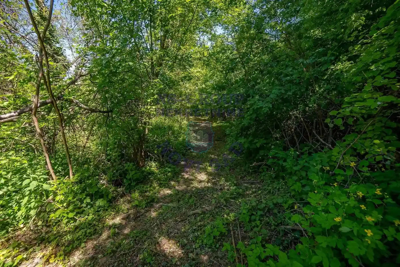 kuca na prodaju Banoštor 96m2 568509